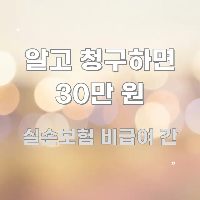 알고 청구하면 30만 원 꼭 알아야 할 정보를 담은 핵심 키워드 시각화 이미지 - 설명을 돕는 이미지