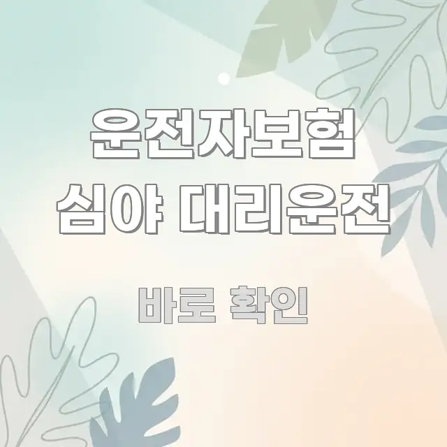 운전자보험 심야 대리운전 전문적으로 분석한 블로그 헤더 이미지 - 참고용 이미지