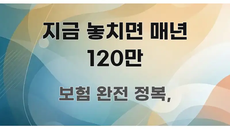 지금 놓치면 매년 120만 바로 활용 가능한 핵심 정리 썸네일 이미지 - 가독성을 높이는 이미지