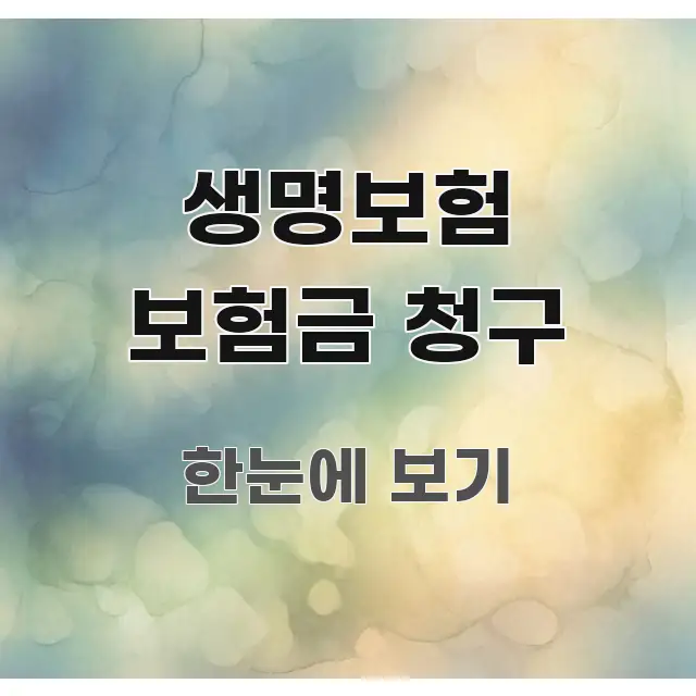 생명보험 보험금 청구 꼼꼼하게 정리된 콘텐츠 요약 표지 이미지 - 내용 요약을 위한 이미지