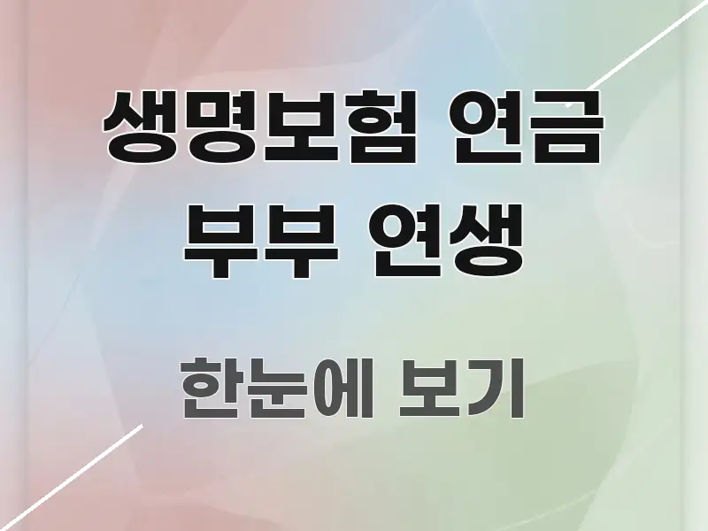 생명보험 연금 부부 연생 직관적으로 이해되는 읽기 좋은 정보 카드 - 활용 예시 이미지