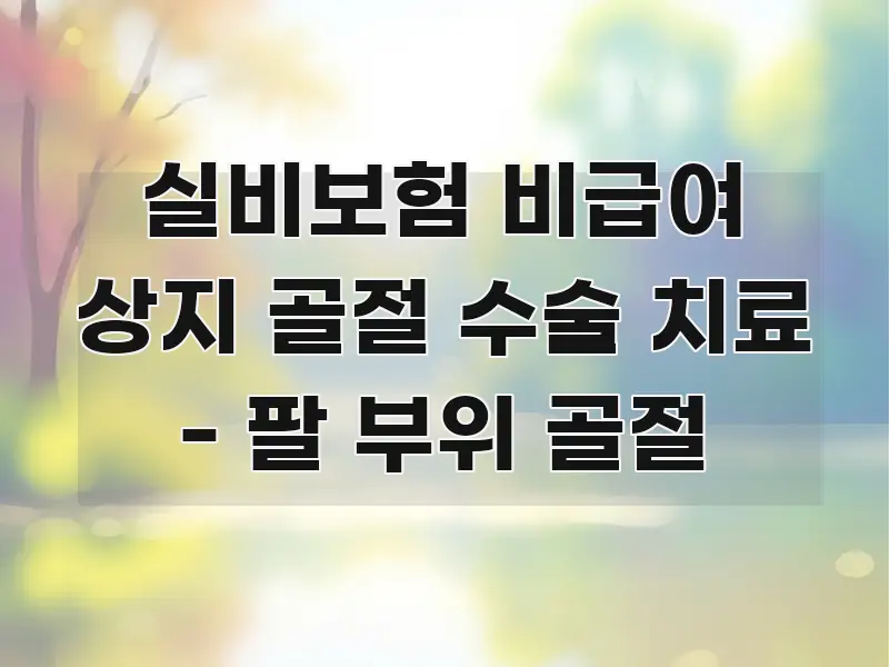 실비보험 비급여 상지 골절 수술 치료 - 팔 부위 골절 독자를 위해 선별한 블로그 헤더 이미지 - 글 흐름을 돕는 시각 자료