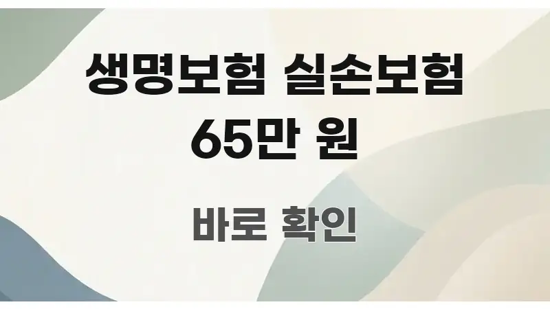생명보험 실손보험 65만 원 핵심 정보를 압축한 포스트 대표 비주얼 이미지