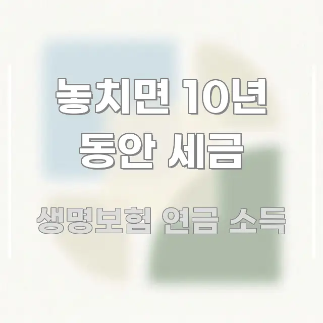 놓치면 10년 동안 세금 이해하기 쉬운 핵심 요약 디자인 카드 - 활용 예시 이미지
