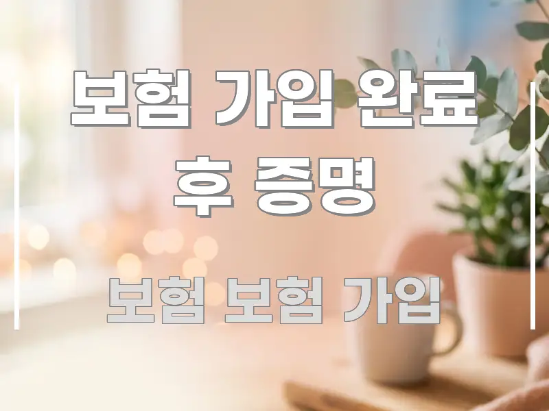 보험 가입 완료 후 증명 한 번에 이해되는 텍스트 중심 디자인 표지 - 독자 이해를 위한 이미지