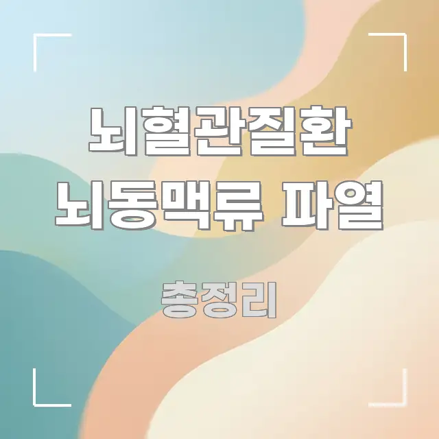 뇌혈관질환 뇌동맥류 파열 핵심 정보 중심의 정보 카드 디자인 이미지 - 내용 요약을 위한 이미지