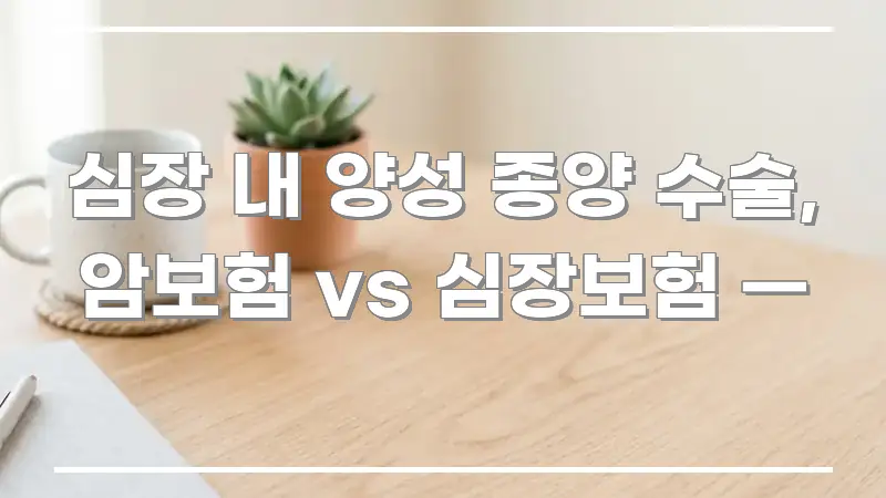 심장 내 양성 종양 수술, 암보험 vs 심장보험 — 흥미롭게 구성한 심플 타이포그래피 표지 - 글 흐름을 돕는 시각 자료