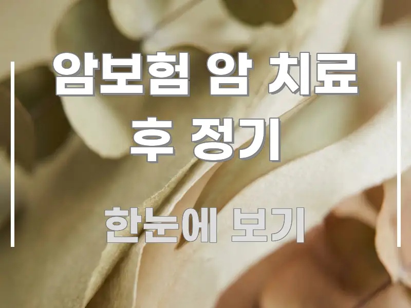 암보험 암 치료 후 정기 알기 쉽게 정리한 텍스트형 카드뉴스 표지 이미지 - 독자 이해를 위한 이미지