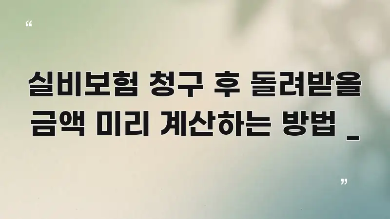 실비보험 청구 후 돌려받을 금액 미리 계산하는 방법 _ 이해하기 쉬운 정보 카드 디자인 이미지