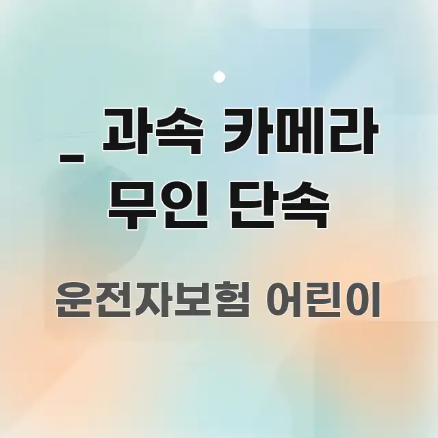 _ 과속 카메라 무인 단속 흐름을 잡아주는 정보 요약 인포그래픽 이미지