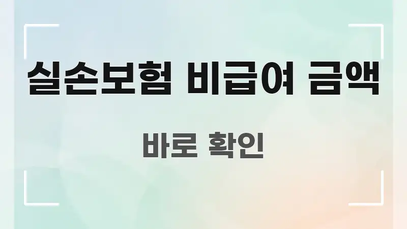 실손보험 비급여 금액 한눈에 보기 좋게 요약한 포스트 대표 비주얼 이미지 - 설명을 돕는 이미지
