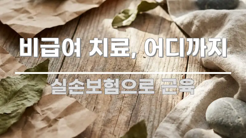 비급여 치료, 어디까지 요점만 뽑아낸 핵심 키워드 시각화 이미지