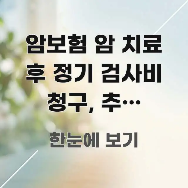 암보험 암 치료 후 정기 검사비 청구, 추적 검사비 꼼꼼하게 정리된 텍스트 기반 블로그 이미지 - 독자 이해를 위한 이미지