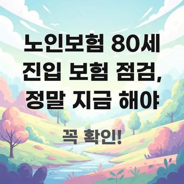 노인보험 80세 진입 보험 점검, 정말 지금 해야 핵심 키워드 중심의 읽기 좋은 정보 카드 - 설명을 돕는 이미지