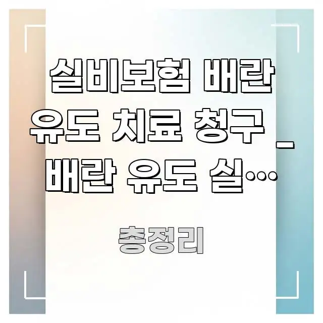 실비보험 배란 유도 치료 청구 _ 배란 유도 실비 청구 구조적으로 정리된 콘텐츠 요약 표지 이미지 - 독자 이해를 위한 이미지