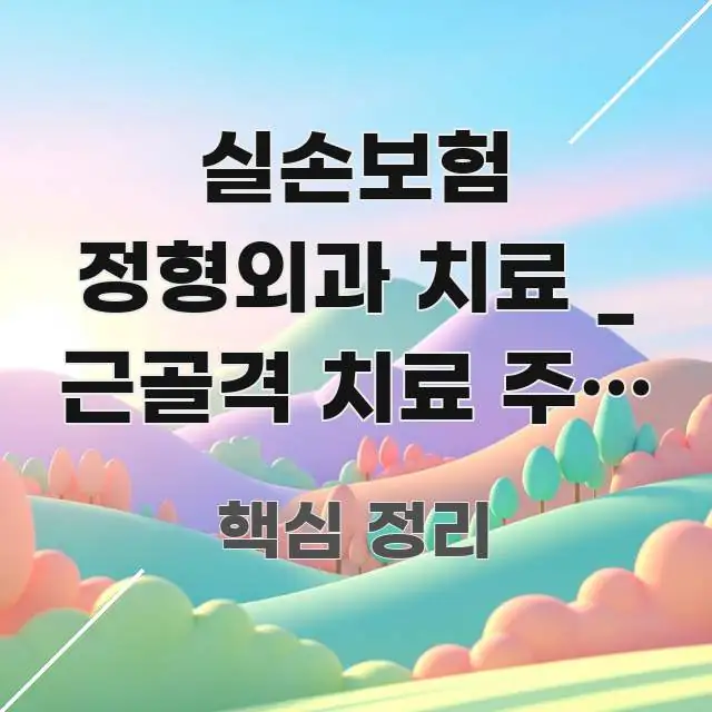 실손보험 정형외과 치료 _ 근골격 치료 주사 물리치료 핵심 정보를 압축한 블로그 섹션 구분 이미지