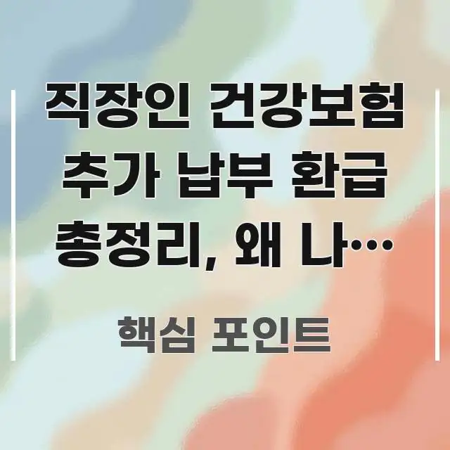 직장인 건강보험 추가 납부 환급 총정리, 왜 나는 더 빠르게 이해할 수 있는 정보 요약 인포그래픽 이미지 - 참고용 이미지