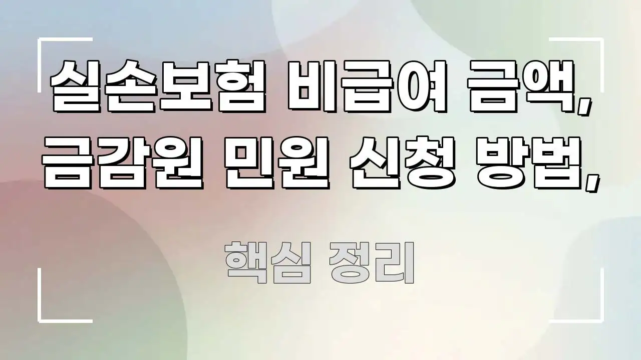 실손보험 비급여 금액, 금감원 민원 신청 방법, 실용적으로 정리한 가독성 높은 정보 이미지 - 내용 요약을 위한 이미지