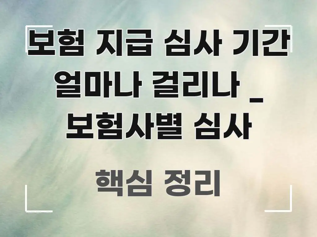 보험 지급 심사 기간 얼마나 걸리나 _ 보험사별 심사 명확하게 정리된 심플 타이포그래피 표지 - 가독성을 높이는 이미지
