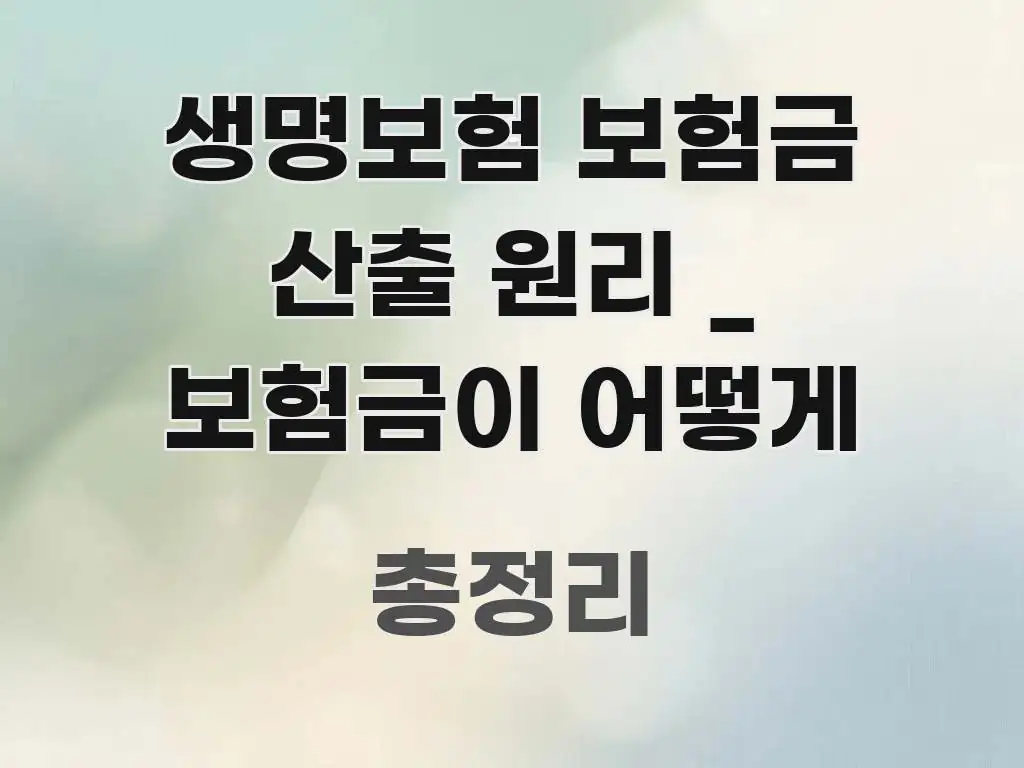 생명보험 보험금 산출 원리 _ 보험금이 어떻게 직관적으로 이해되는 블로그 섹션 구분 이미지 - 활용 예시 이미지