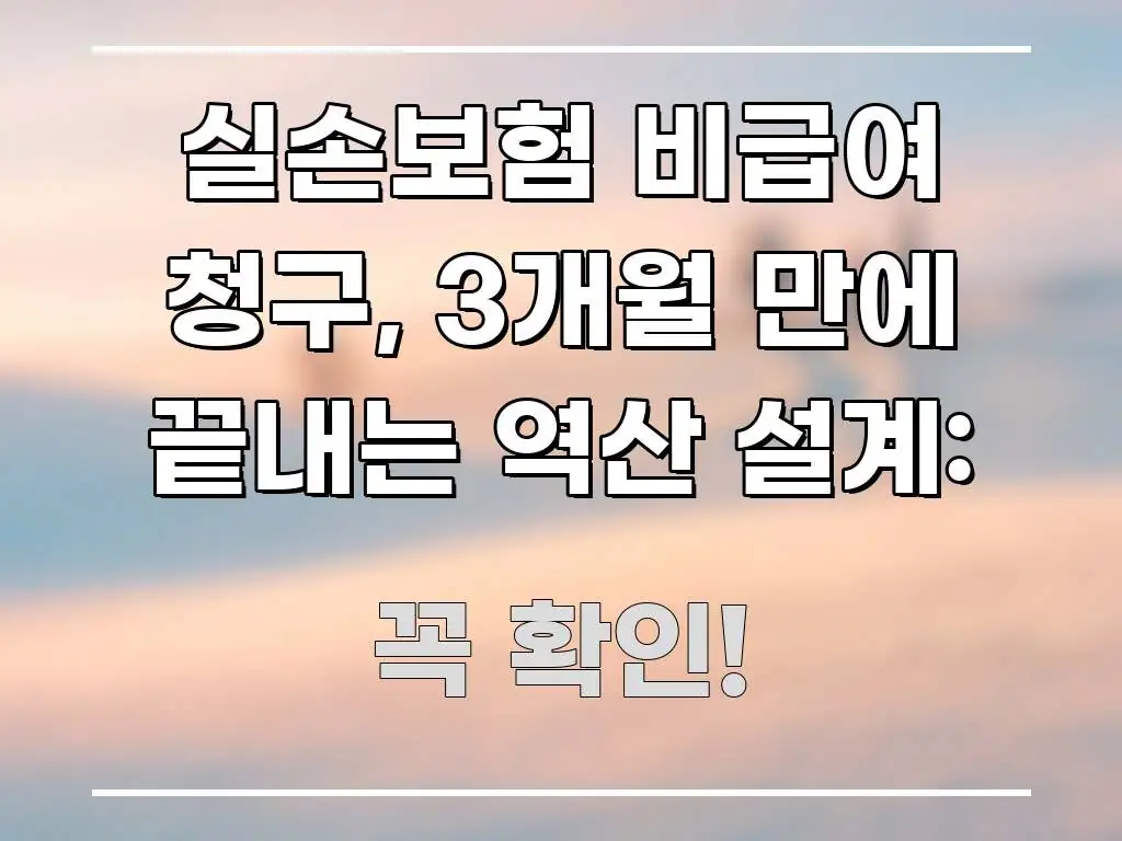 실손보험 비급여 청구, 3개월 만에 끝내는 역산 설계: 한눈에 들어오는 텍스트 중심 디자인 표지 - 설명을 돕는 이미지