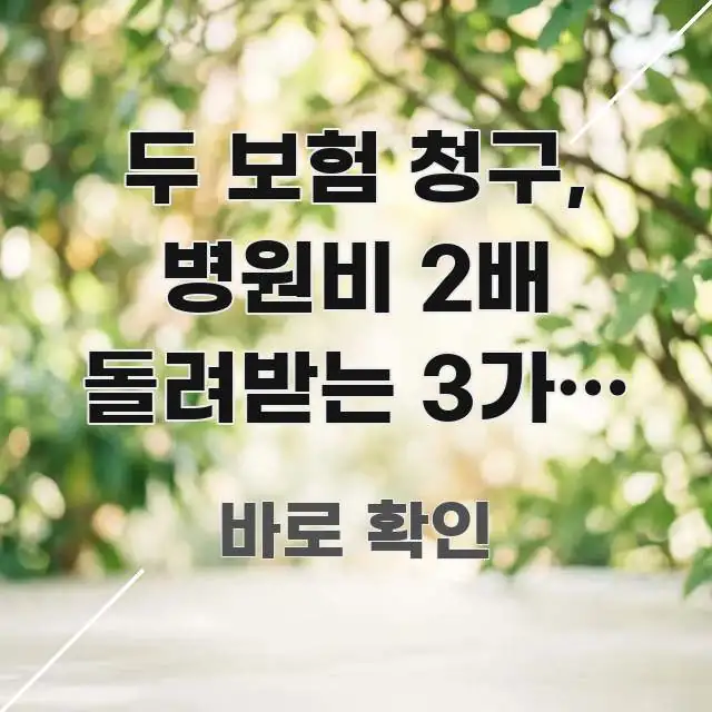 두 보험 청구, 병원비 2배 돌려받는 3가지 조건 — 이해하기 쉬운 텍스트 중심 디자인 표지 - 설명을 돕는 이미지