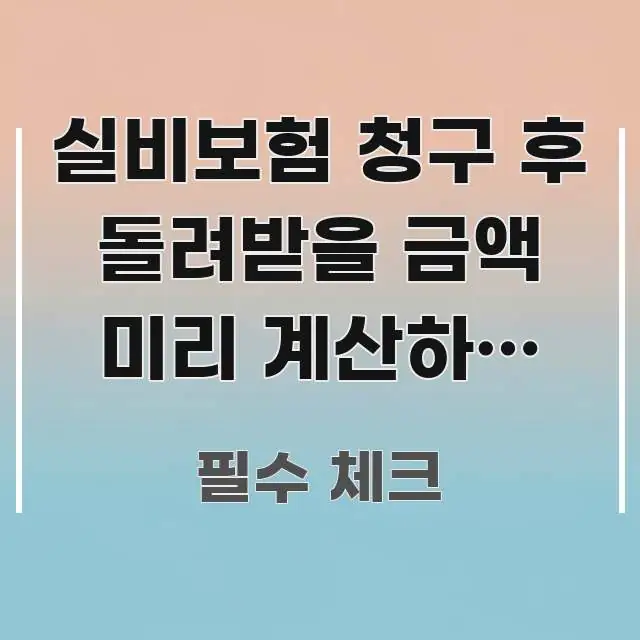 실비보험 청구 후 돌려받을 금액 미리 계산하는 방법 _ 핵심 정보 중심의 블로그 섹션 구분 이미지 - 활용 예시 이미지