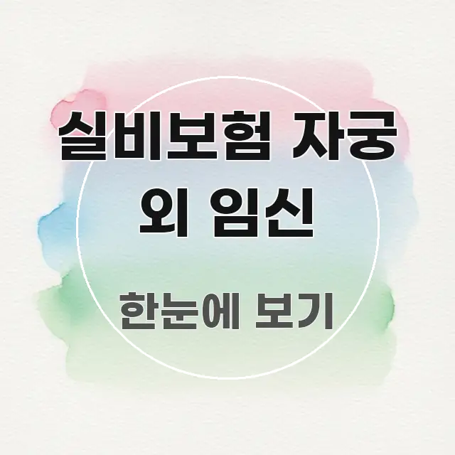 실비보험 자궁 외 임신 주요 포인트를 요약한 핵심 키워드 시각화 이미지 - 가독성을 높이는 이미지