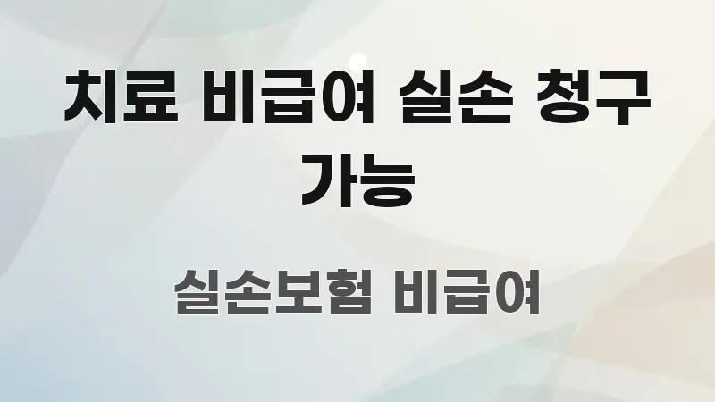 치료 비급여 실손 청구 가능 알기 쉽게 정리한 블로그 대표 이미지 - 설명을 돕는 이미지