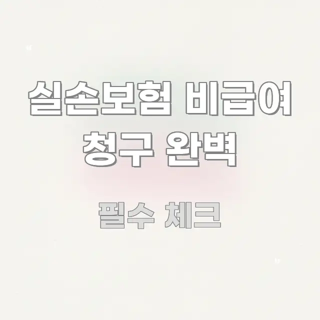 실손보험 비급여 청구 완벽 중요 내용만 뽑은 핵심 요약 디자인 카드 - 참고용 이미지