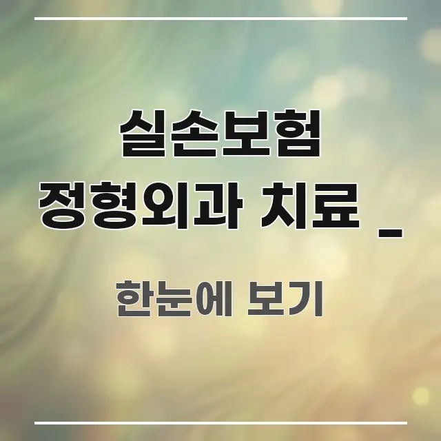 실손보험 정형외과 치료 _ 핵심만 담은 블로그 대표 이미지