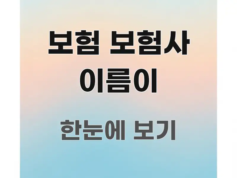 보험 보험사 이름이 흥미롭게 구성한 가독성 높은 정보 이미지