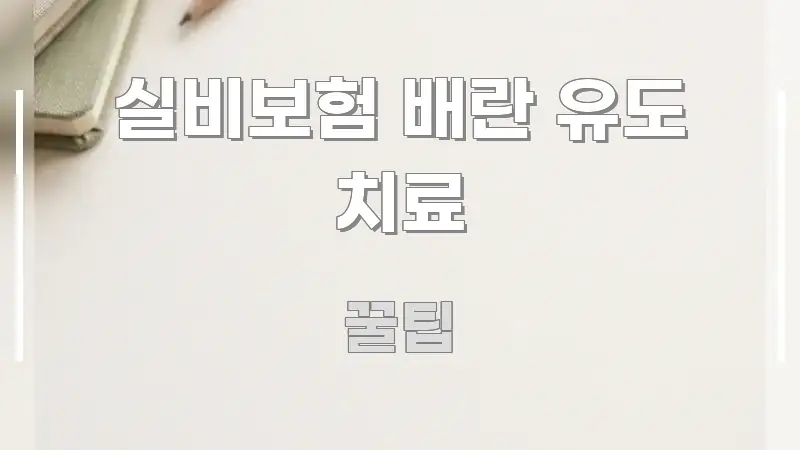 실비보험 배란 유도 치료 실용적으로 정리한 핵심 키워드 시각화 이미지 - 설명을 돕는 이미지