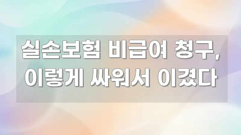 실손보험 비급여 청구, 이렇게 싸워서 이겼다 효율적으로 구성된 블로그 대표 이미지 - 활용 예시 이미지