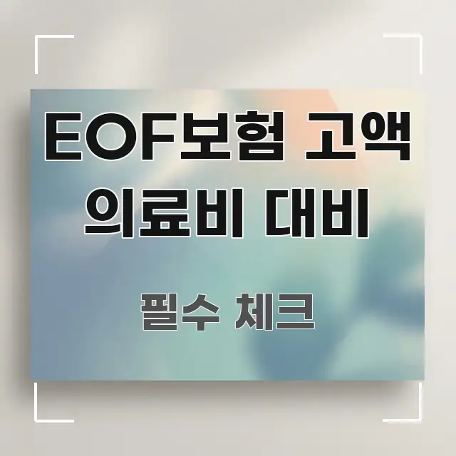EOF보험 고액 의료비 대비 중요 내용만 뽑은 정보 정리 카드 이미지