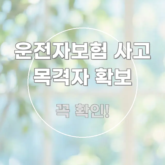 운전자보험 사고 목격자 확보 핵심 정보를 압축한 텍스트 포스터 이미지