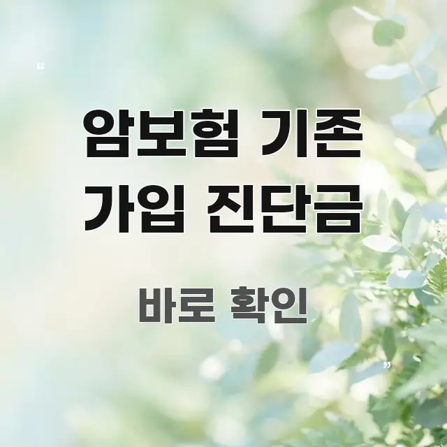 암보험 기존 가입 진단금 전문가가 선별한 정보 전달형 표지 이미지