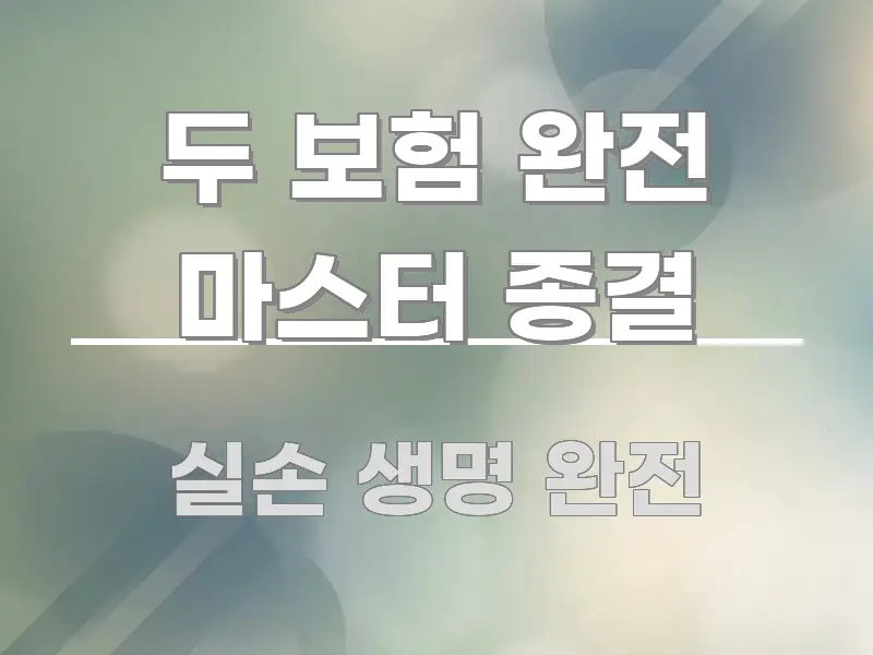 두 보험 완전 마스터 종결 중요 내용만 뽑은 핵심 정리 썸네일 이미지 - 본문 내용과 연관된 이미지