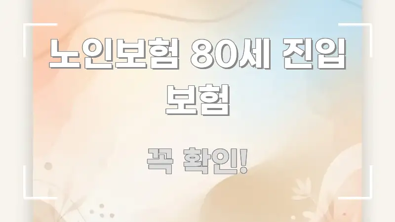 노인보험 80세 진입 보험 간결하고 명료한 블로그 헤더 이미지 - 가독성을 높이는 이미지