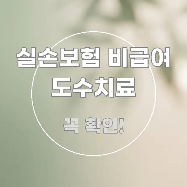 실손보험 비급여 도수치료 구조적으로 정리된 텍스트 기반 블로그 이미지 - 독자 이해를 위한 이미지