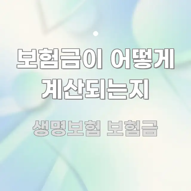 보험금이 어떻게 계산되는지 실생활에 도움되는 텍스트 중심 디자인 표지 - 독자 이해를 위한 이미지