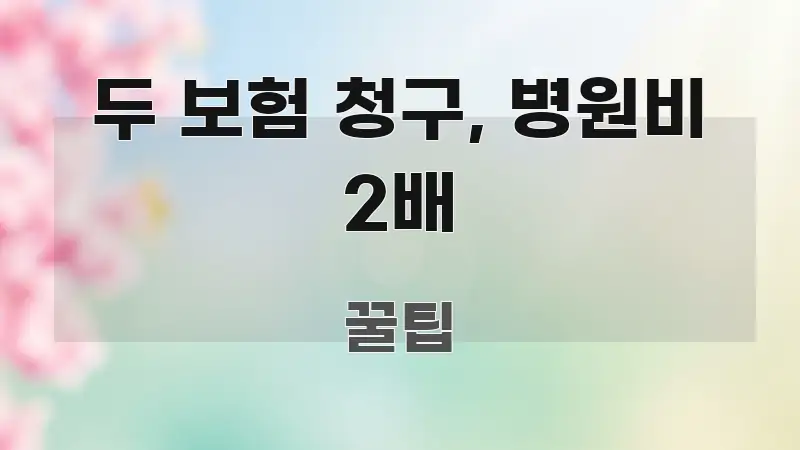 두 보험 청구, 병원비 2배 시선을 사로잡는 콘텐츠 요약 표지 이미지
