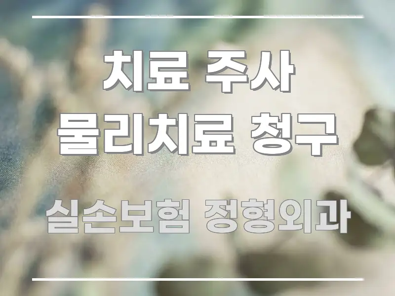 치료 주사 물리치료 청구 전문가가 선별한 정보 전달형 표지 이미지 - 참고용 이미지