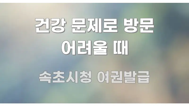 건강 문제로 방문 어려울 때 핵심 요약 건강 문제로 방문 어려울 때 실생활에 도움되는 블로그 섹션 구분 이미지 - 독자 이해를 위한 이미지