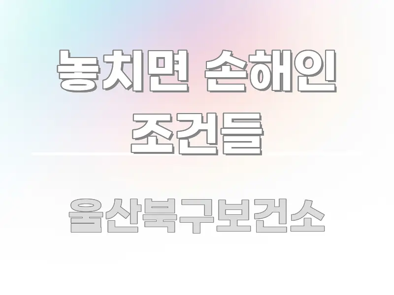 놓치면 손해인 조건들 꼭 알아야 할 정보를 담은 정보 카드 디자인 이미지 - 가독성을 높이는 이미지