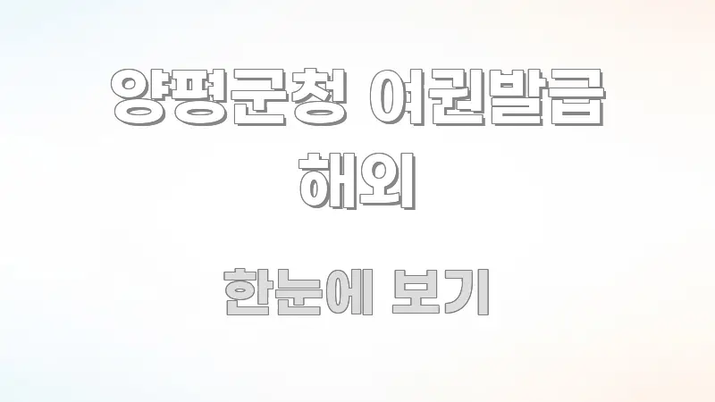양평군청 여권발급 해외 전문적으로 분석한 텍스트 포스터 이미지