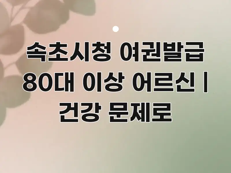 속초시청 여권발급 80대 이상 어르신 | 건강 문제로 카드뉴스 표지 속초시청 여권발급 80대 이상 어르신 | 건강 문제로 꼼꼼하게 정리된 정보 정리 카드 이미지