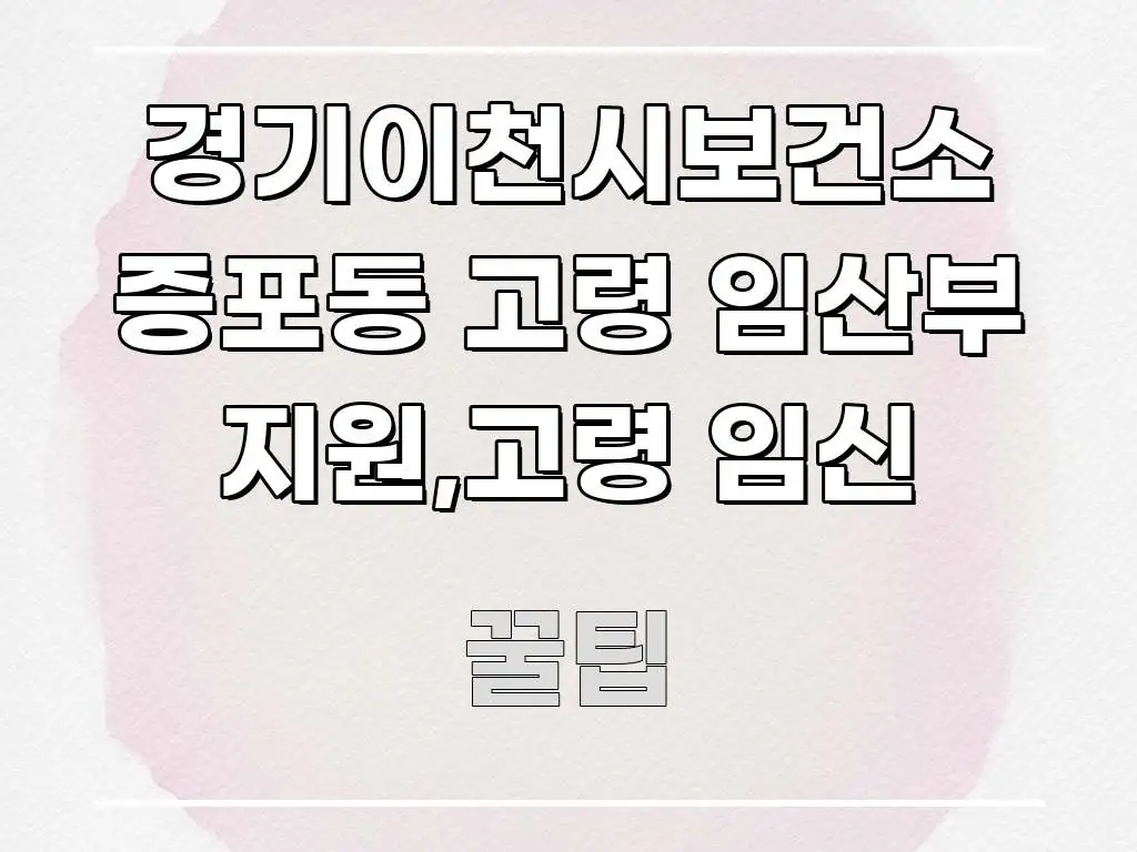 경기이천시보건소 증포동 고령 임산부 지원,고령 임신 핵심 정보를 압축한 블로그 대표 이미지 - 내용 요약을 위한 이미지