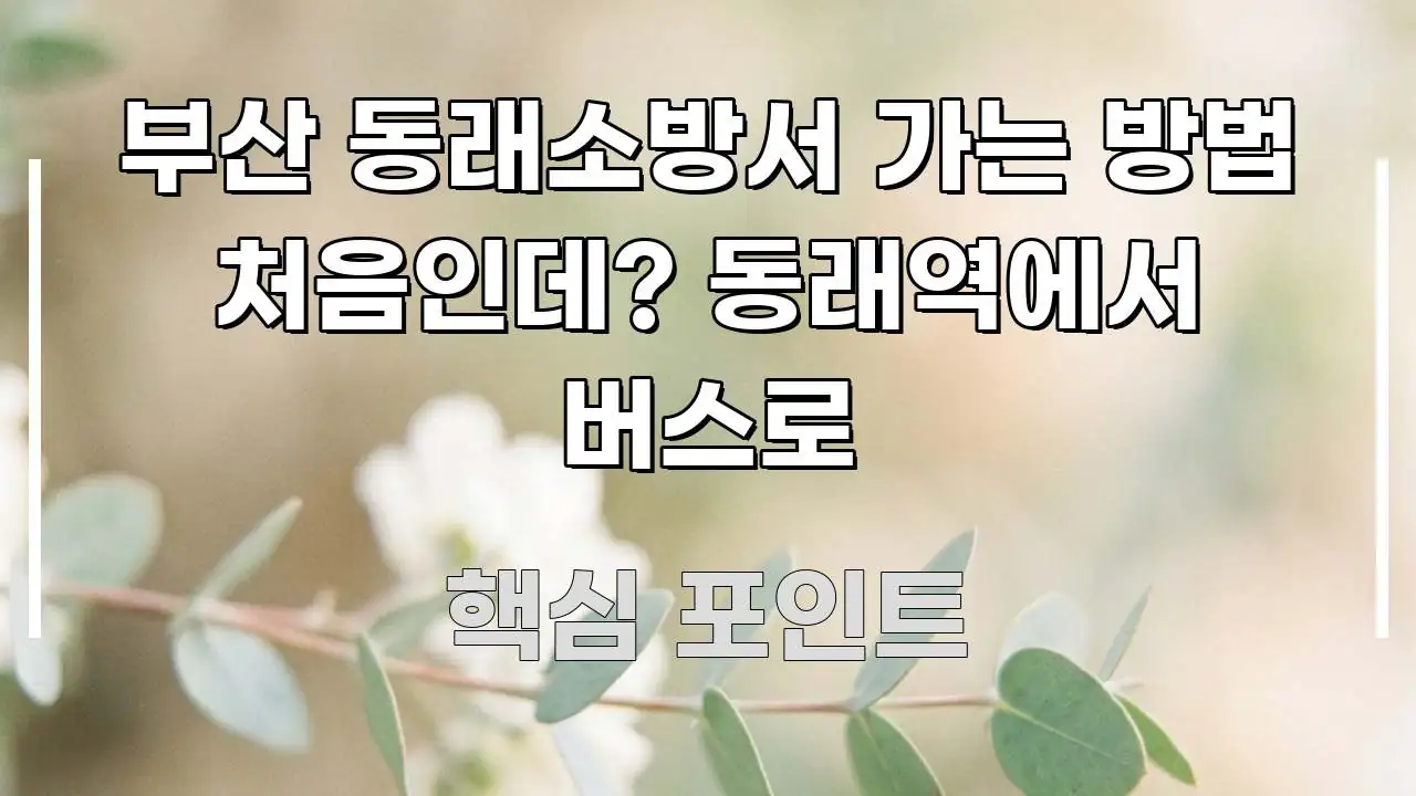 부산 동래소방서 가는 방법 처음인데? 동래역에서 버스로 핵심만 담은 콘텐츠 요약 표지 이미지 - 본문 내용과 연관된 이미지