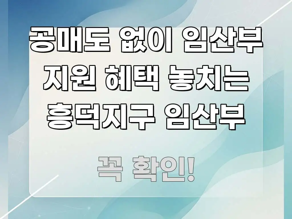 공매도 없이 임산부 지원 혜택 놓치는 흥덕지구 임산부 요점만 뽑아낸 핵심 정보 비주얼 - 활용 예시 이미지